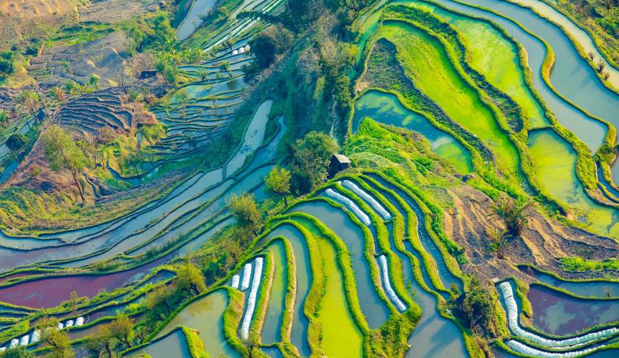 宝妈必备神器：南召县产品视频拍摄轻松育儿好帮手