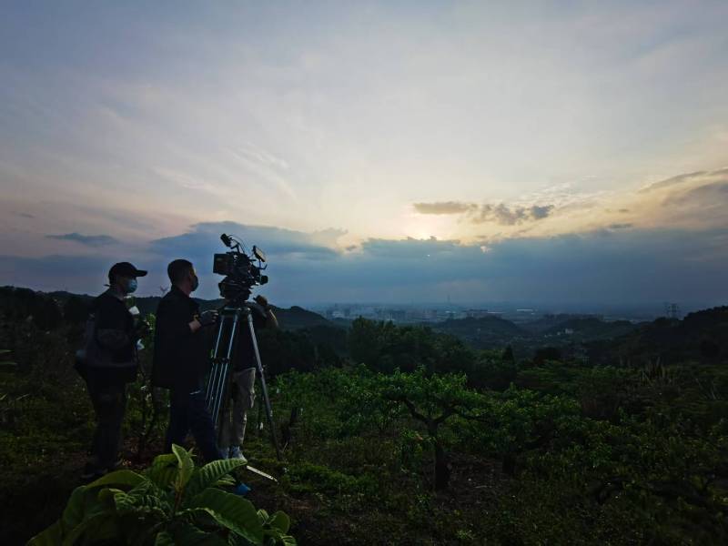 聚焦南召县产品宣传视频拍摄公司，用专业实力铸就品牌传播传奇