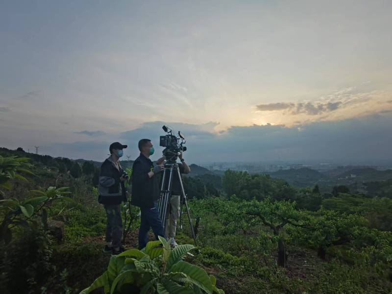 创意破圈！南召县电商产品宣传视频用故事化叙事引爆流量