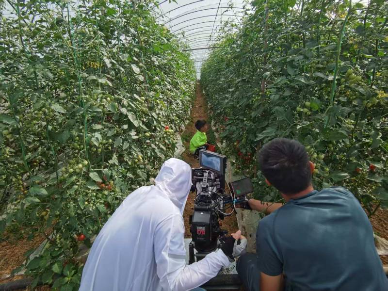 南召县产品宣传视频拍摄公司进阶指南，助力品牌抢占传播高地